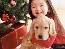 A little girl with a puppy