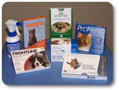 What Pet Owners Should Know about Flea and Tick Medications The