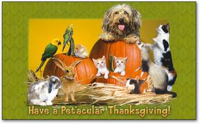 "Have a Petacular Thanksgiving"
