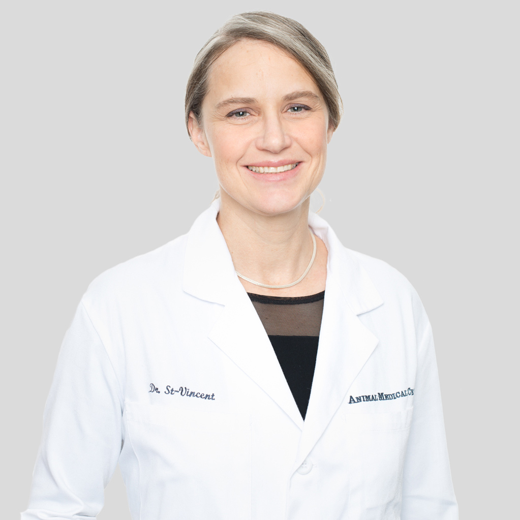 Dr. Rachel St-Vincent