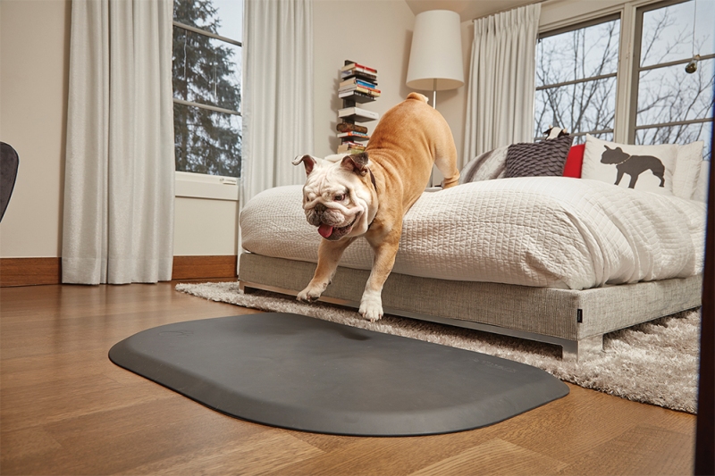 A dog jumping off a bed