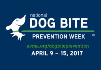 National Dog Bite Prevention Week
