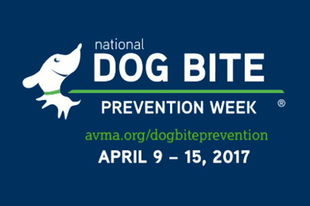 National Dog Bite Prevention Week