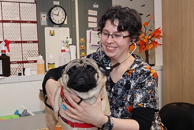 Veterinary tech with a pug