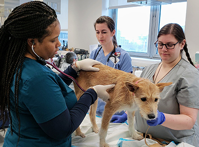 Melinda being examined by AMC's Oncology team