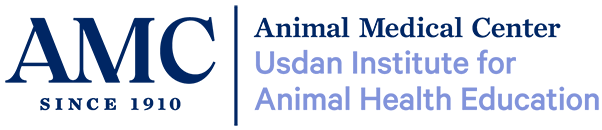 Usdan Institute logo