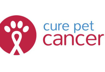 Cure Pet Cancer