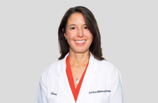 Dr. Leilani Alvarez of the Animal Medical Center in New York City