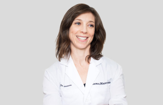 Dr. Taryn Donovan of the Animal Medical Center in New York City