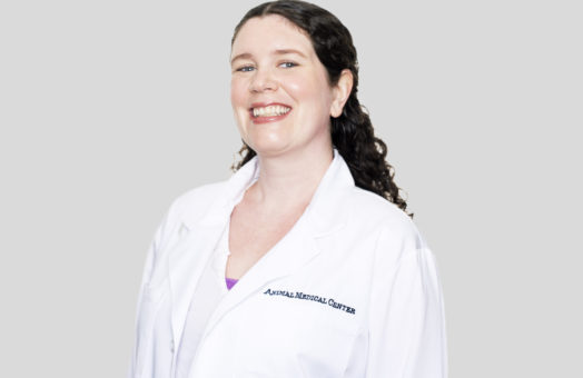 Dr. Heather Daverio of the Animal Medical Center in New York City