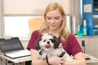 An employee of New York City's Animal Medical Center holds a small, happy dog