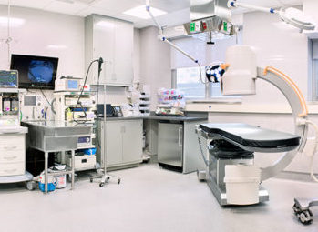 A photo of the endoscopy suite at the Animal Medical Center of New York City