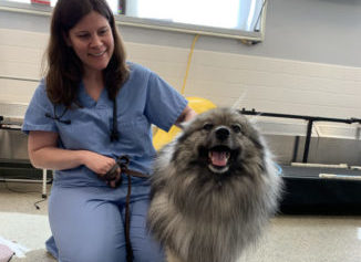 A veterinary professional with a happy Keeshond