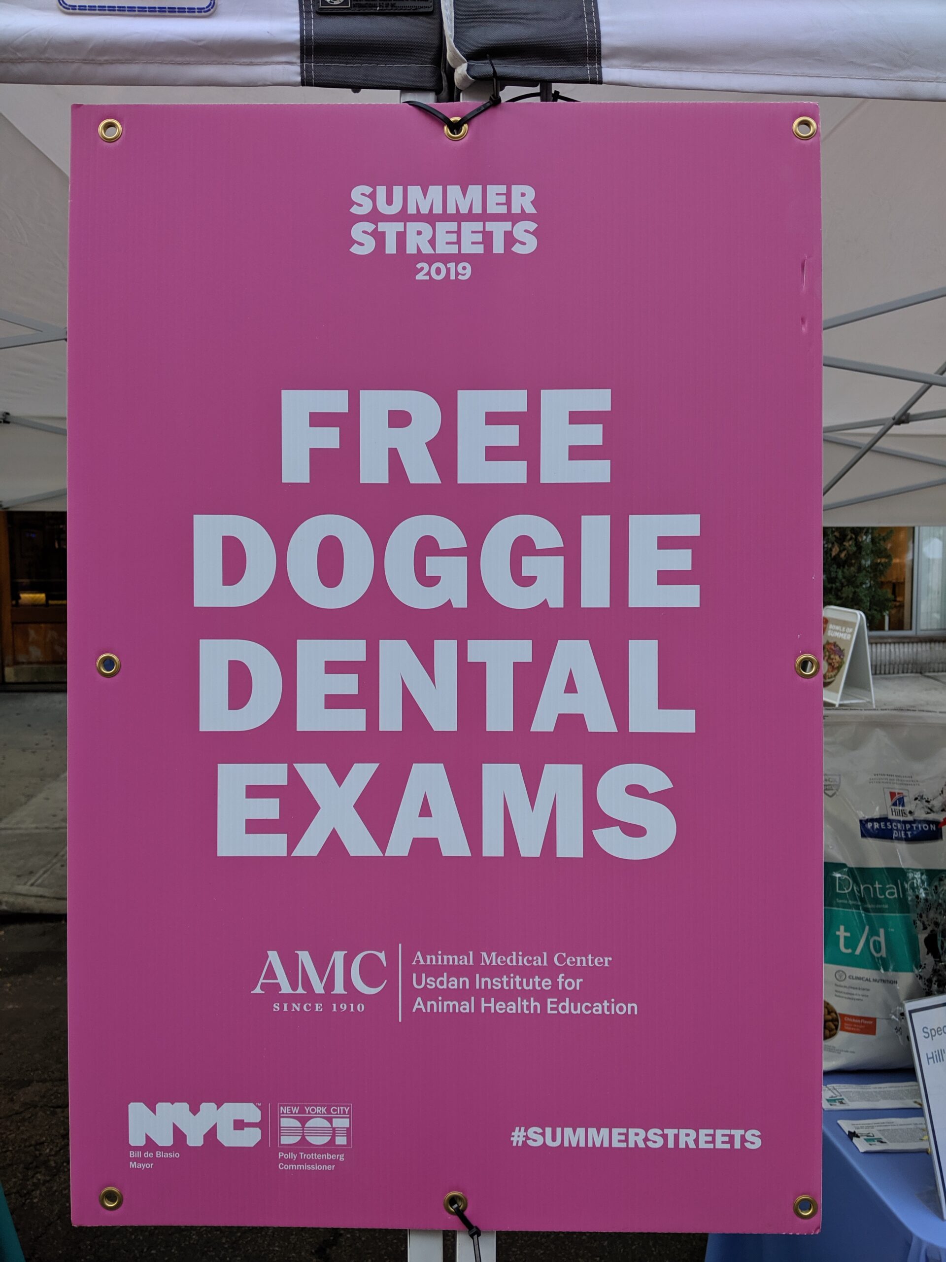 Sign for free doggie dental exams at Summer Streets