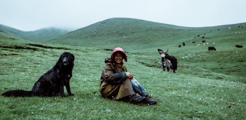 A woman, a dog, and farm animals in a foggy meadow
