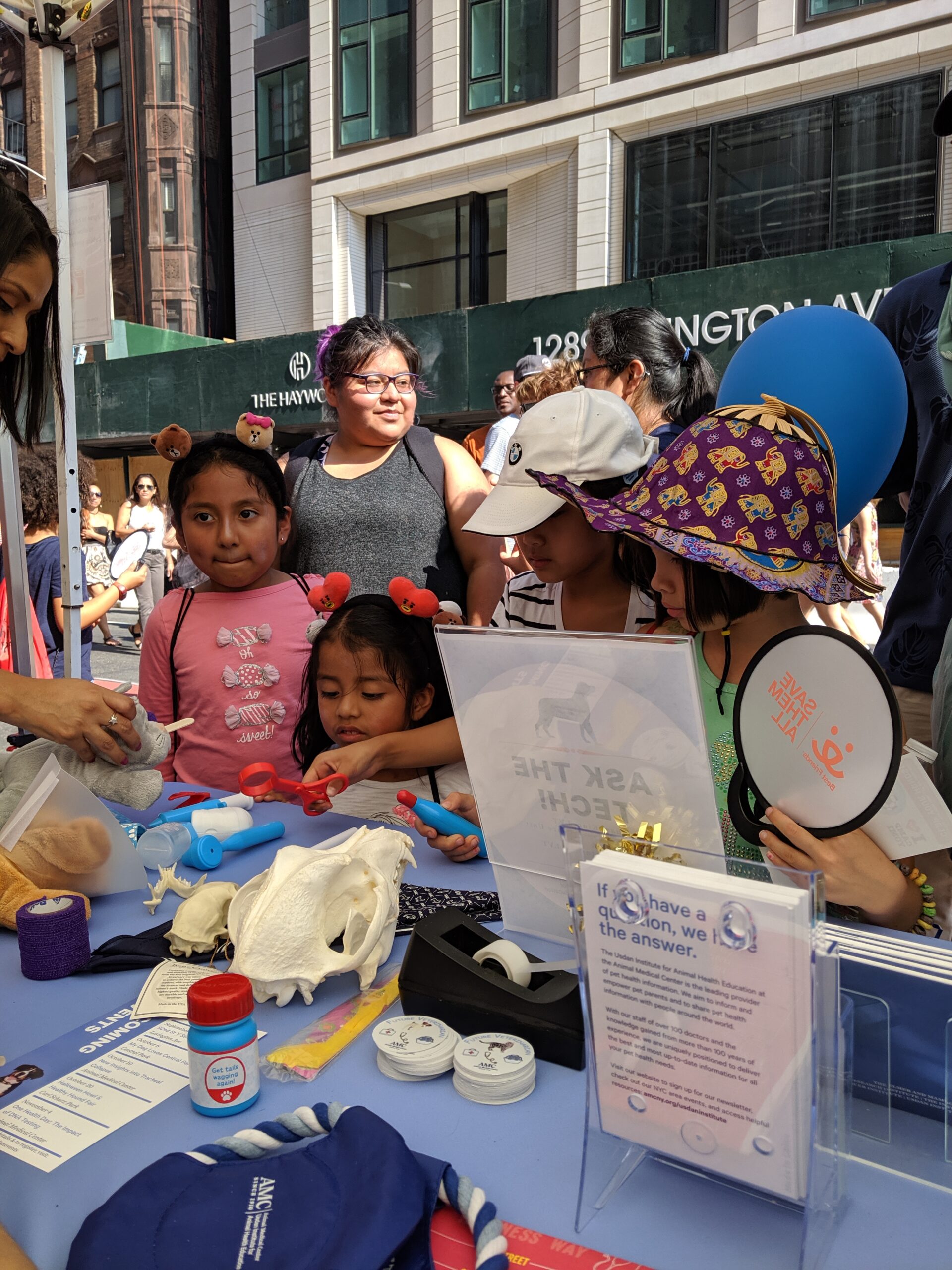 Children playing with veterinary toys at AMC table