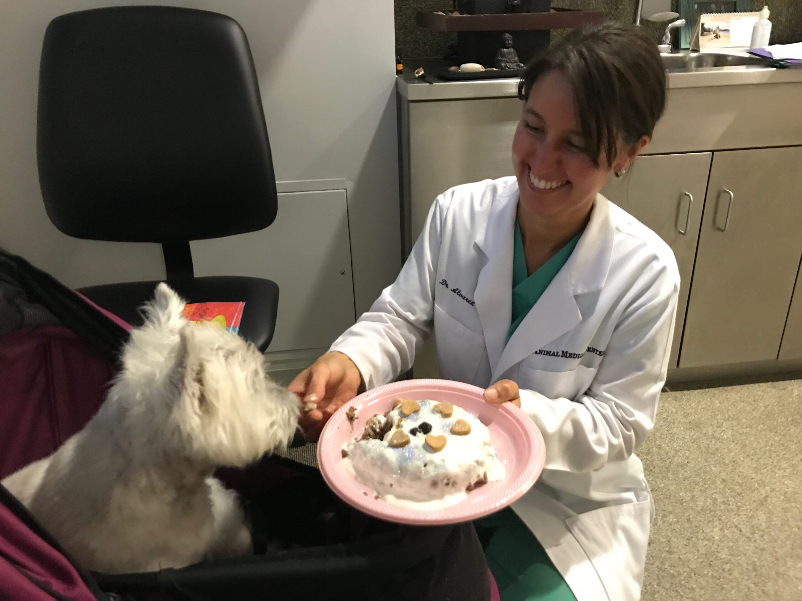 AMC's Dr. Leilani Alvarez feeds cake to a small white dog