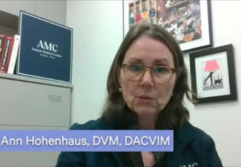 A screenshot of a video in which Dr. Ann Hohenhaus answers questions about COVID-19 and pets