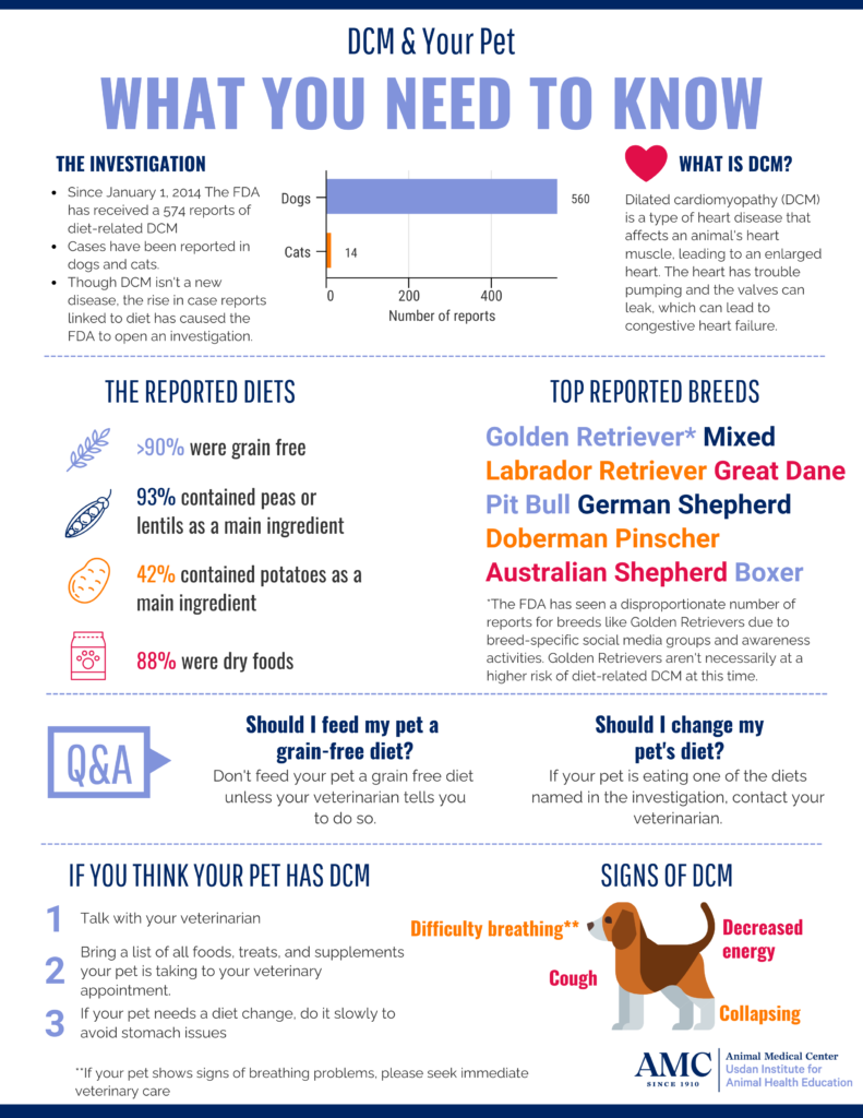 DCM and Your Pet Infographic