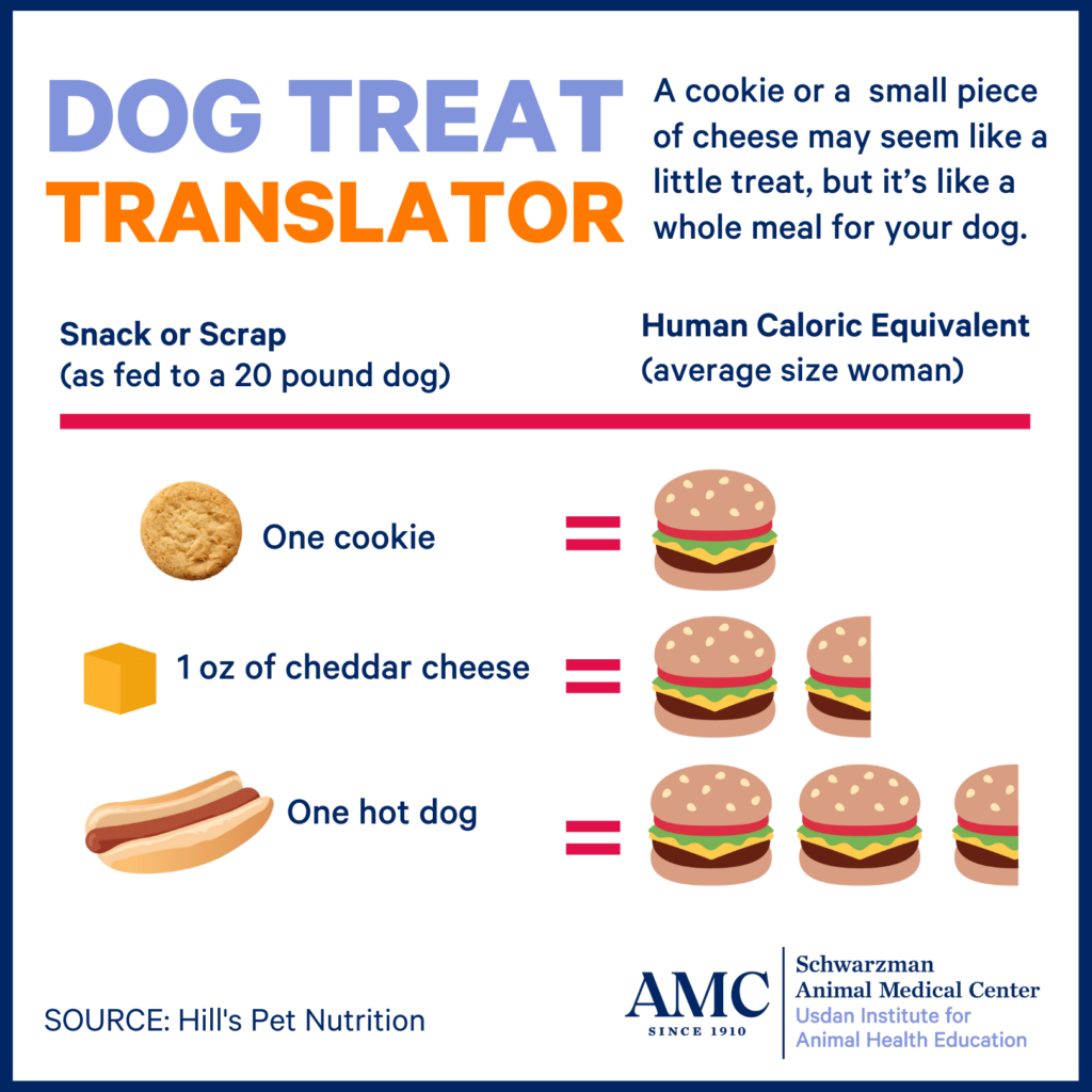 Dog treat translator