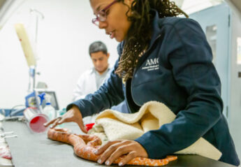 Dr. LaToya Latney handles a snake at the Animal Medical Center of New York City