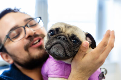 A veterinary professional holds a pug in his arms