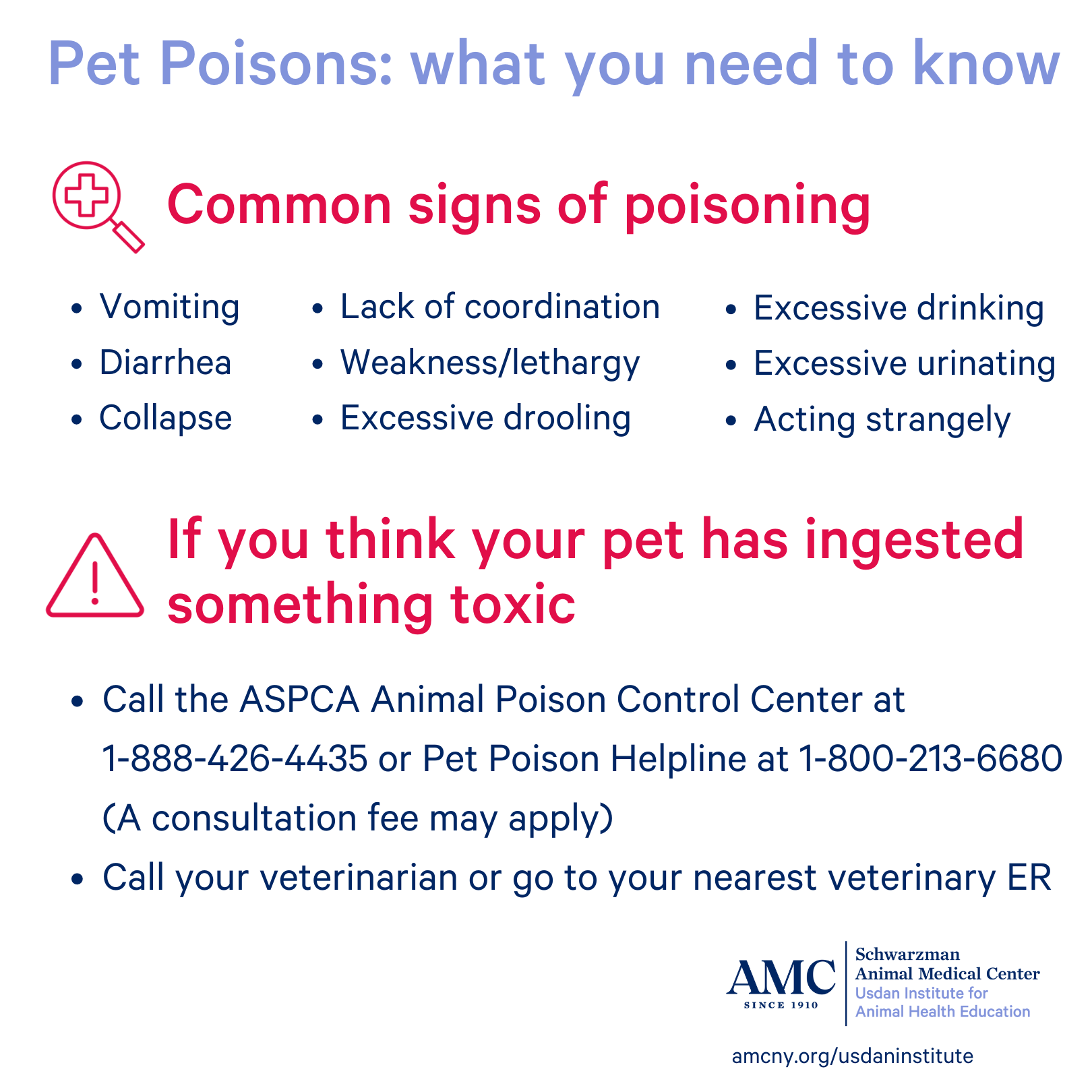 Pet Poisoning signs