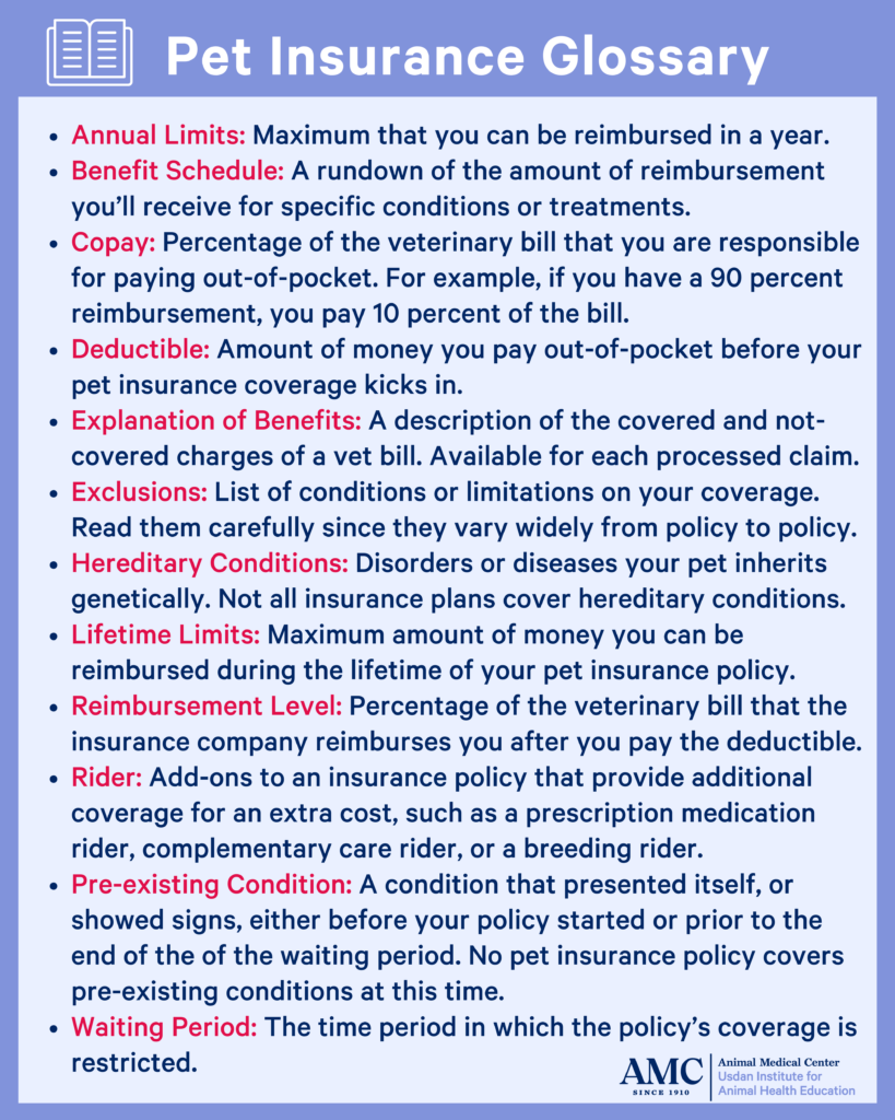 List of pet insurance terms