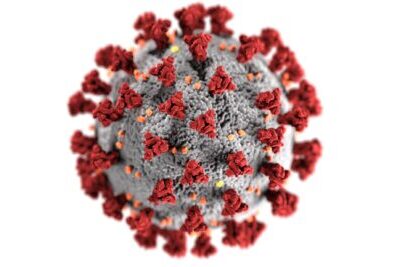 A microscopic view of a SARS-CoV-2 virus