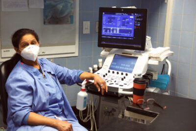 A veterinary professional sits at an echocardiogram machine at the Animal Medical Center