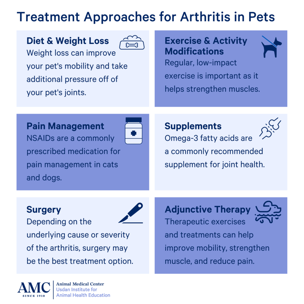 Arthritis treatment infographic