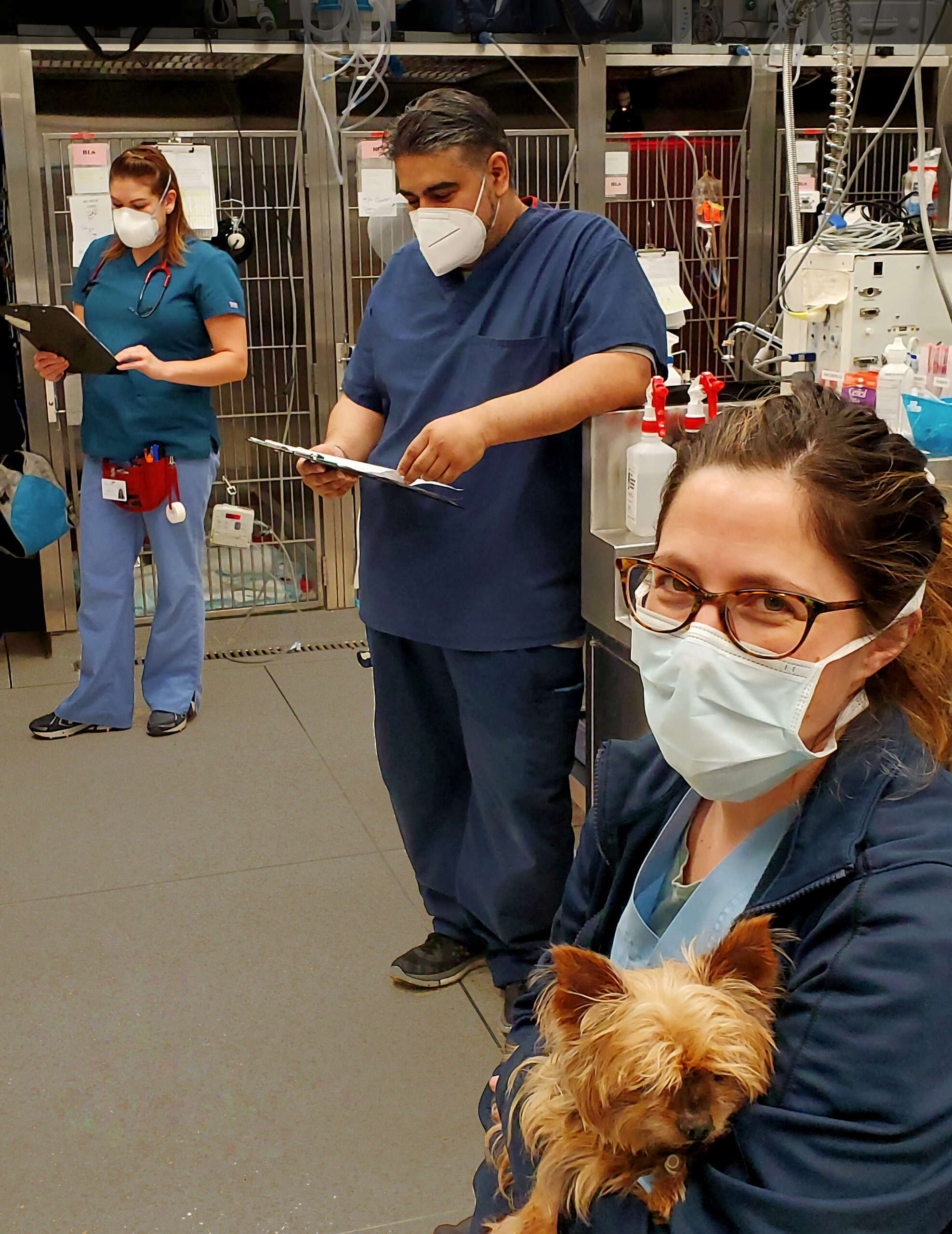 Three veterinary professionals at work in the Intensive Care Unit