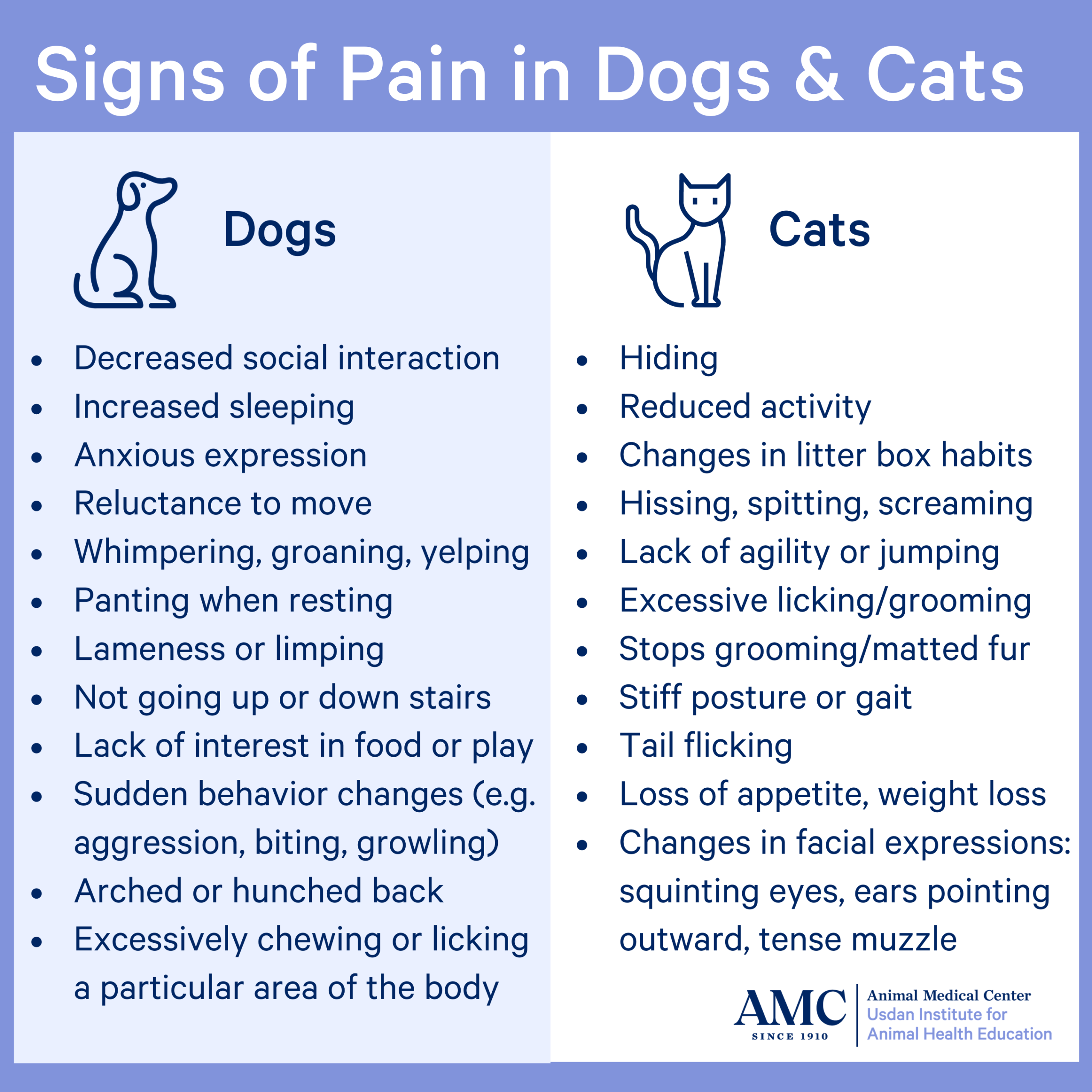 infographic signs of pain in dogs and cats