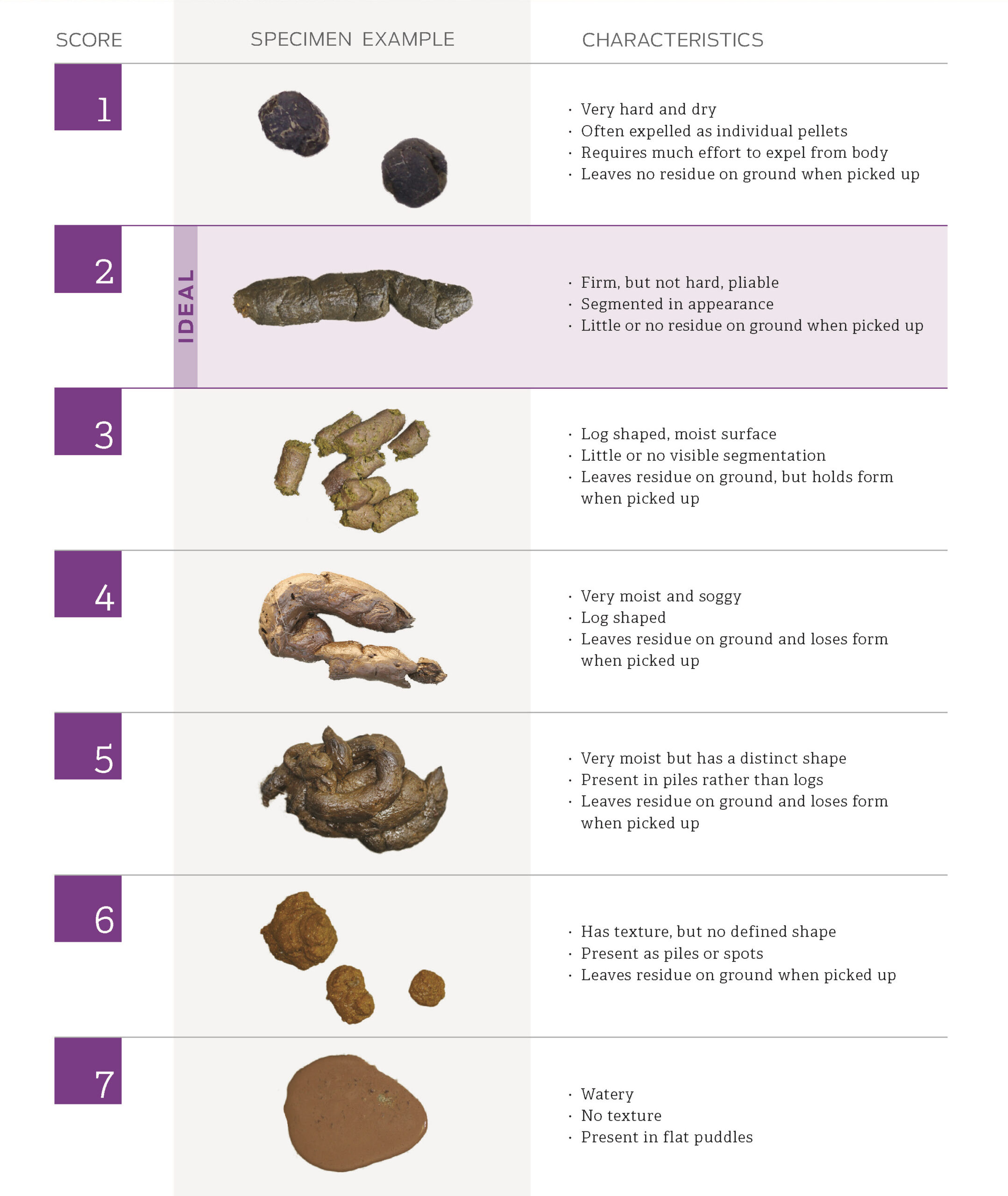 Fecal Scoring Chart - https://www.purinainstitute.com/centresquare/nutritional-and-clinical-assessment/purina-fecal-scoring-chart