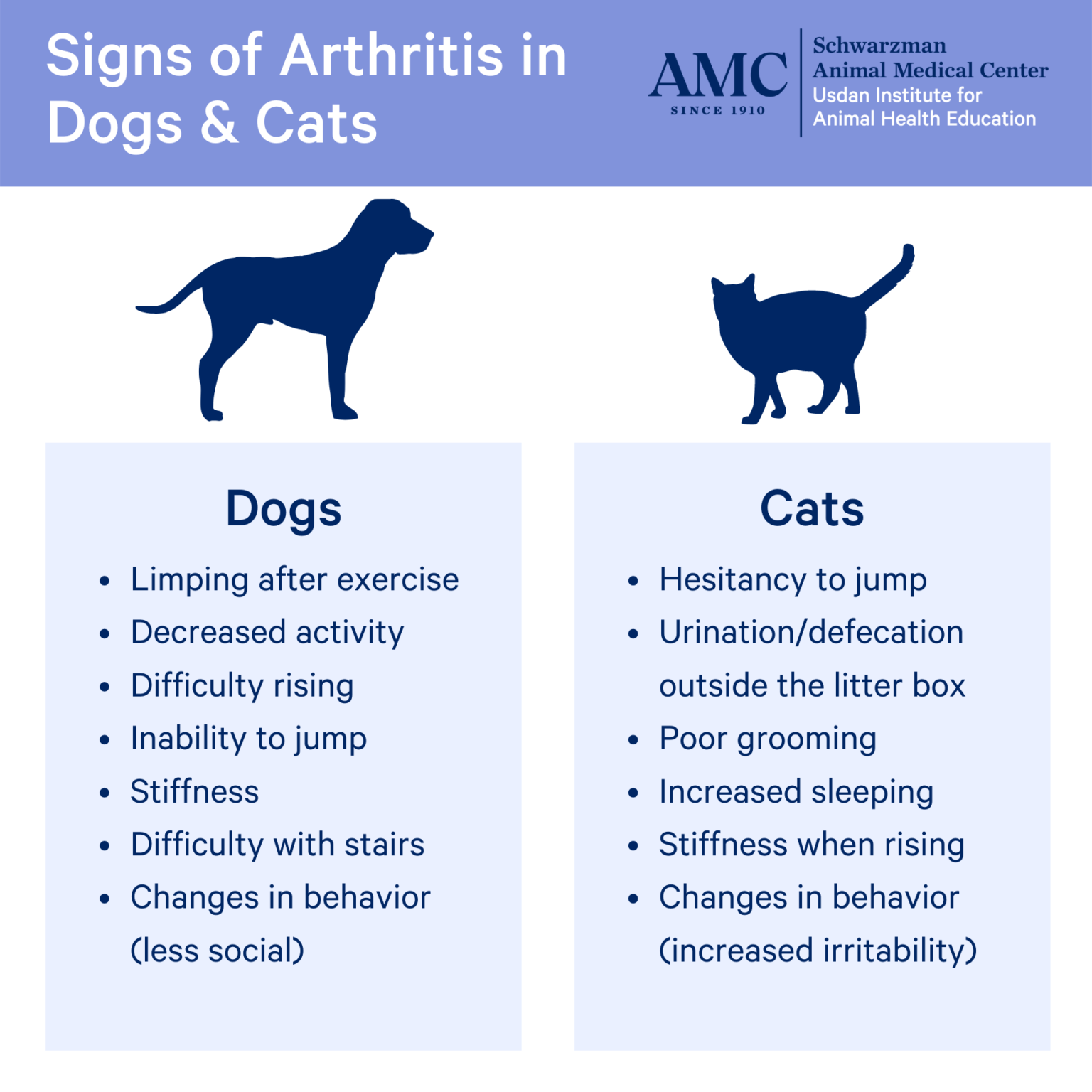 Arthritis (Osteoarthritis) in Dogs and Cats The Animal Medical Center