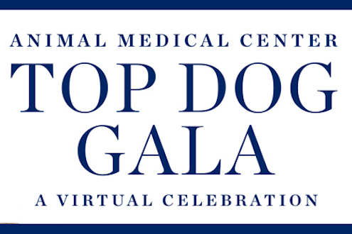 Animal Medical Center Top Dog Gala: A Virtual Celebration