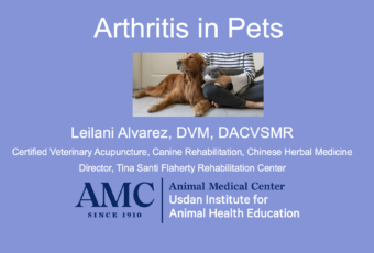 Arthritis webinar cover