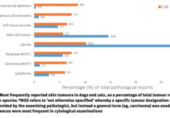 A graph showing skin cancer rates in dogs and cats