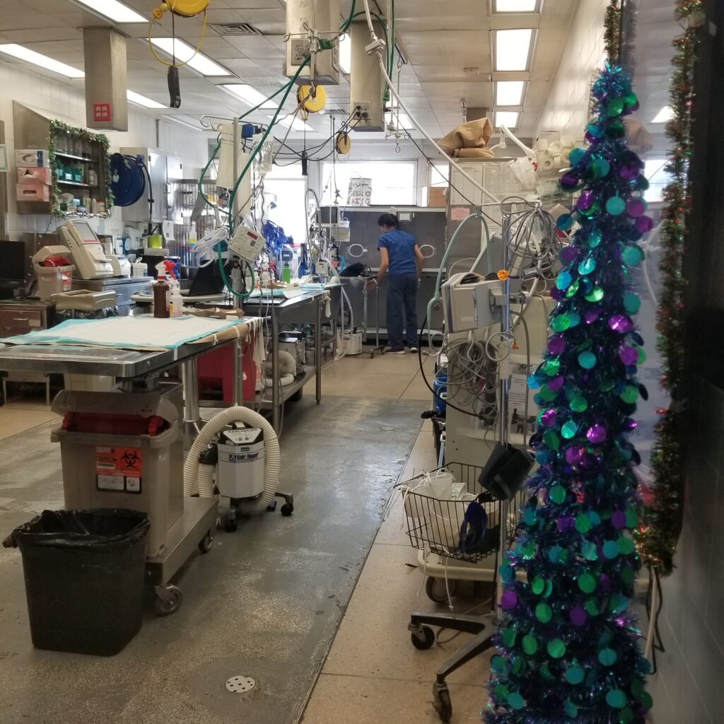 Holiday decorations in AMC's Emergency Room