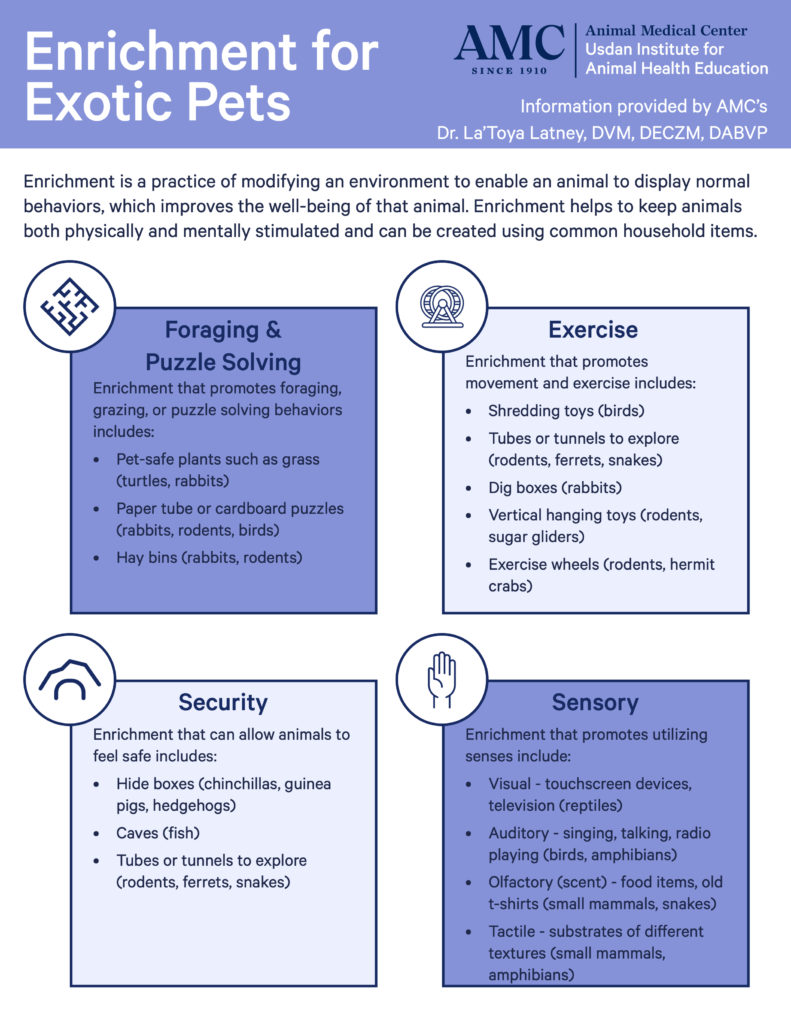 Enrichment for Exotic Pets - Page 1