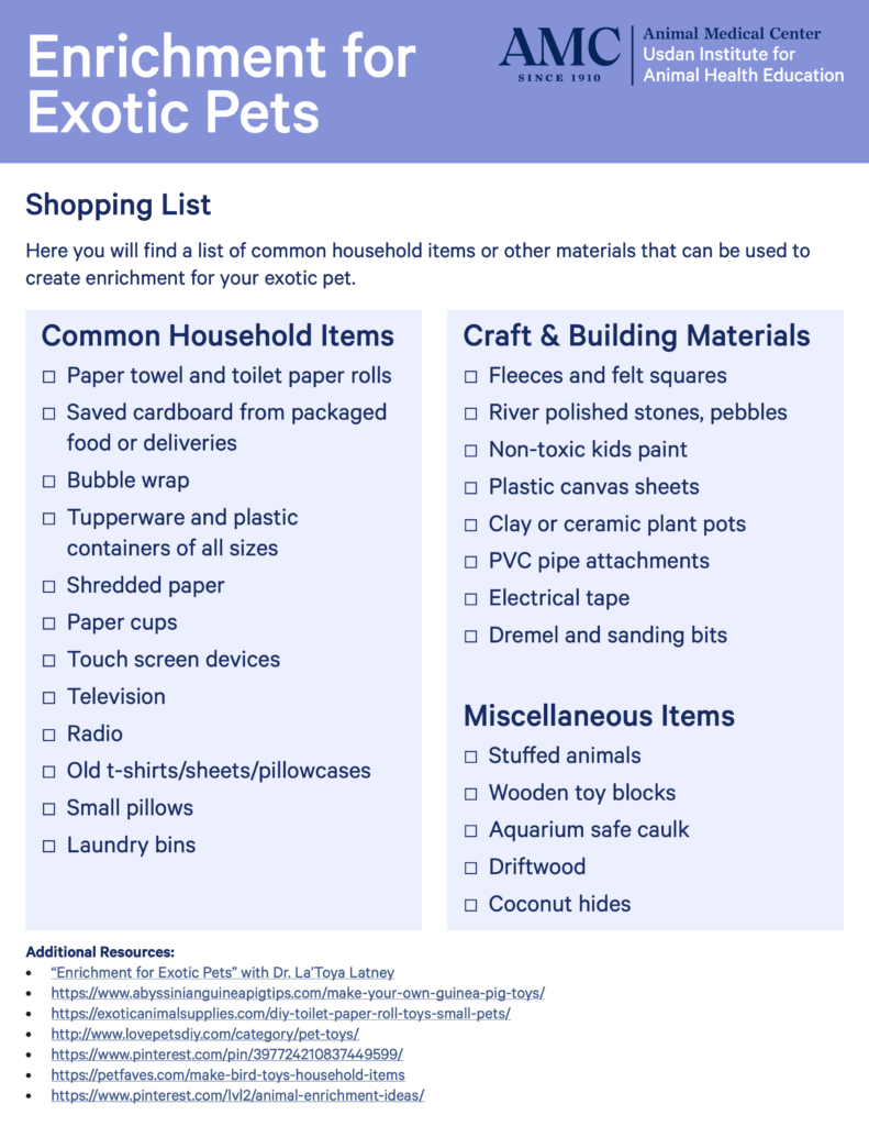 Enrichment for Exotic Pets - Page 2