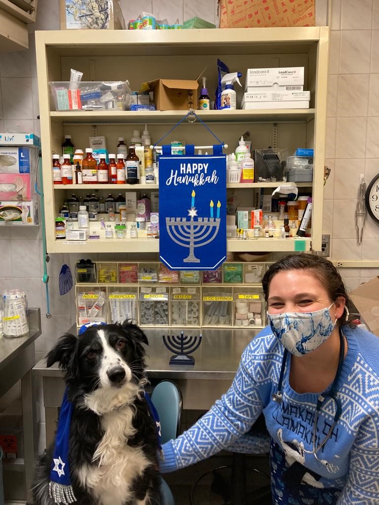 Hanukkah celebrations at the Animal Medical Center