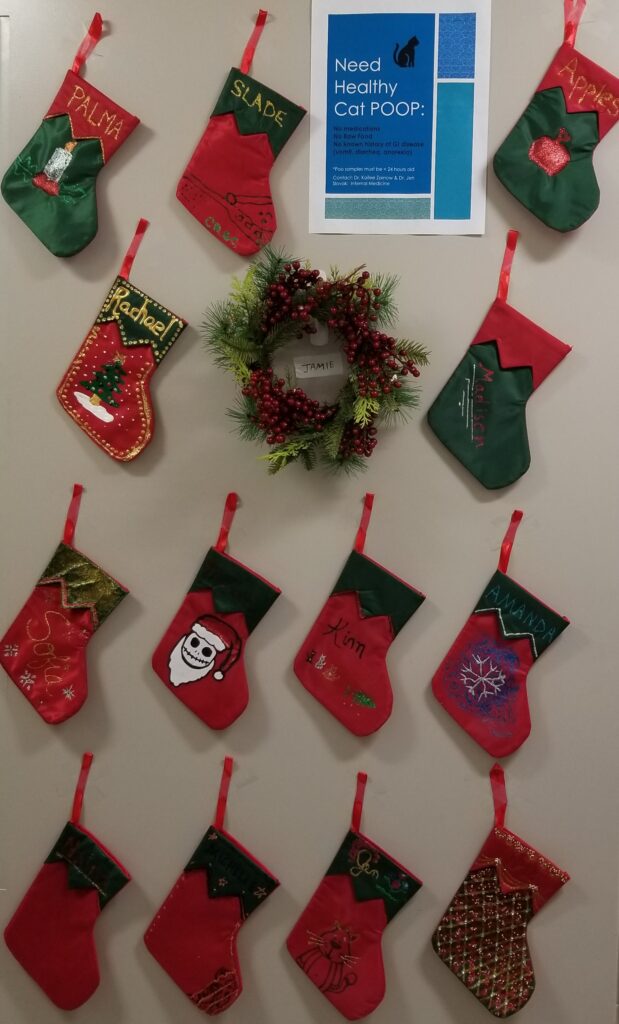 Holiday decorations at the Animal Medical Center