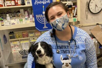A veterinarian and a dog celebrate Hanukkah