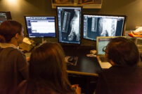 Veterinarians examine diagnostic images