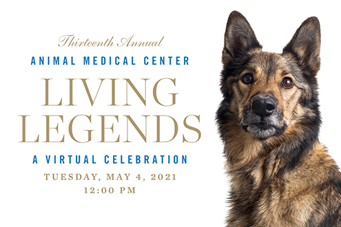 AMC's 13th Annual Living Legends Celebration