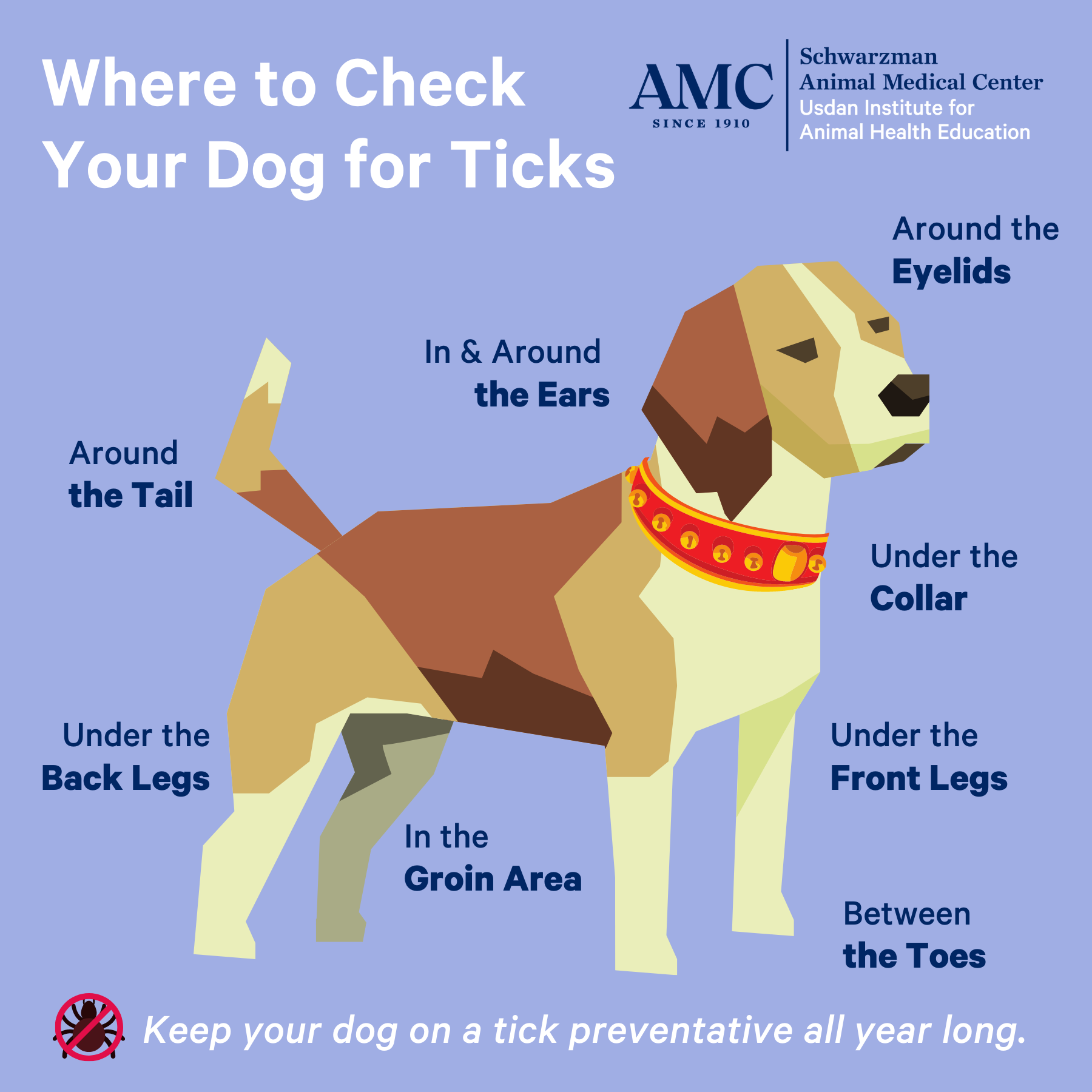where to check your dog for ticks