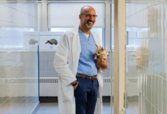 A veterinarian holding a small dog