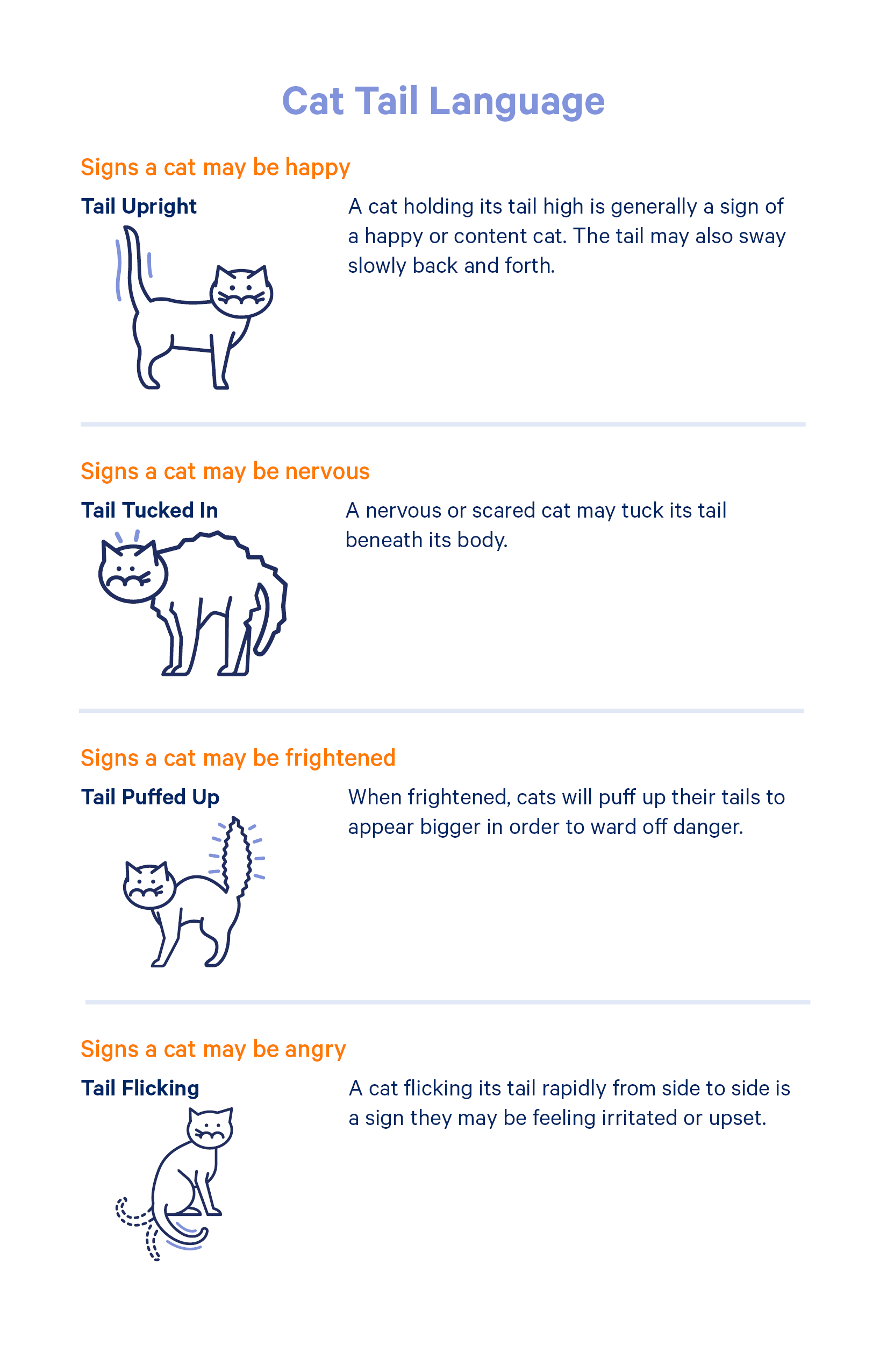 Cat tail language