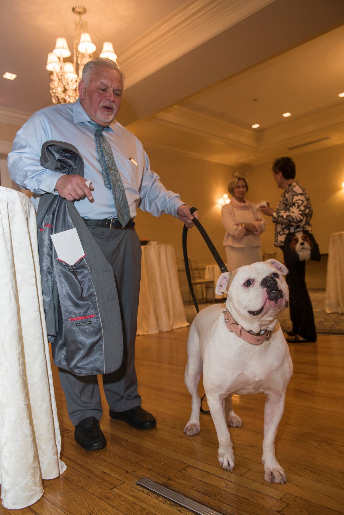 Sugar the dog on a leash by her owner